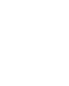 New Jersey Transit World Cup